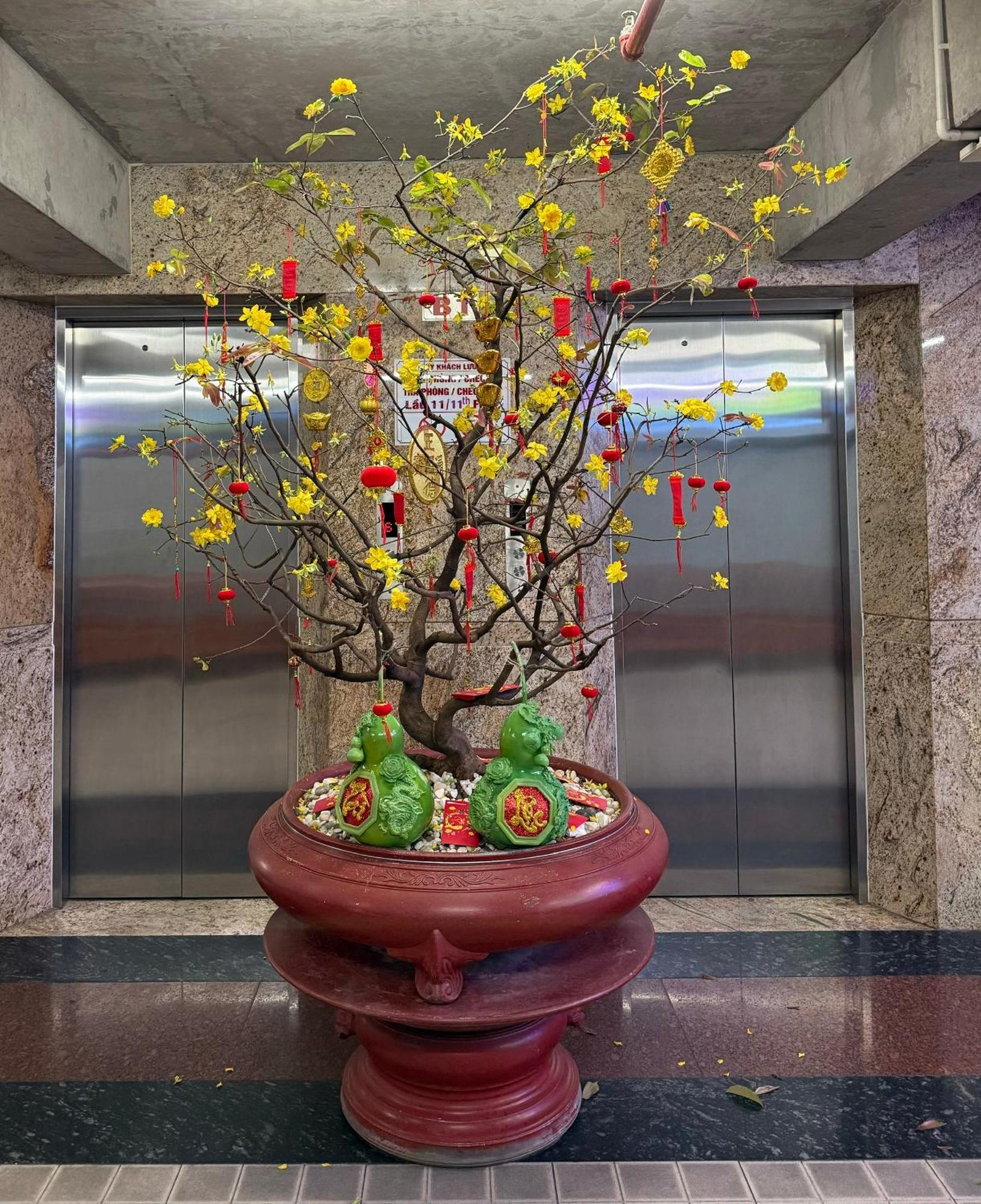 Thien Tai Hotel مدينة هوشي منه المظهر الخارجي الصورة